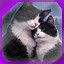 Icon for level 40