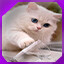 Icon for level 20