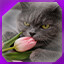 Icon for level 24