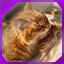 Icon for level 38