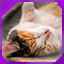 Icon for level 11