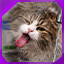 Icon for level 28