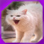 Icon for level 1