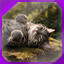 Icon for level 6
