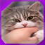 Icon for level 2