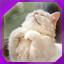 Icon for level 10