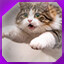 Icon for level 27