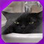 Icon for level 15