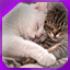 Icon for level 32