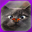 Icon for level 4