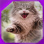Icon for level 3