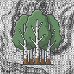 Birch zone