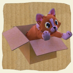 Icon for Unboxing