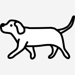 Icon for Splinter