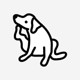 Icon for Pandora