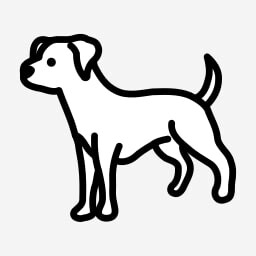 Icon for Zeca