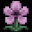Overbloom icon