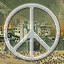 Icon for Struggle For Peace