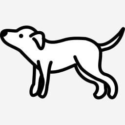 Icon for Lupe
