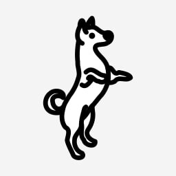 Icon for Ronaldo