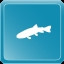 Icon for Brook Trout