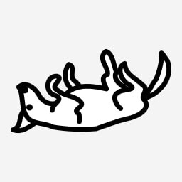 Icon for Jolie