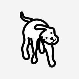 Icon for Guarani