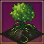 The Garden Eternal achievement icon for Garden Eternal