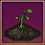 First Bloom achievement icon for Garden Eternal