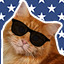 Icon for Who Let that Cat Out?