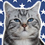 Icon for Furrever Alone