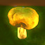 Collect 15 mushrooms