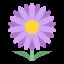 Aster Collector achievement icon for Mendel Simulator