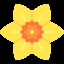 Daffodil Collector achievement icon for Mendel Simulator