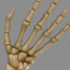 Icon for Skeleton Hands 