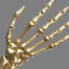 Icon for Gold Skeleton Hands 
