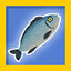Icon for I seafood I eat food