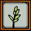 Icon for Plant a Tree