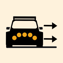 Icon for good drivers have dead flies on the side windows