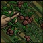 Icon for Foraging (Sovereignty)