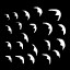 Glimmering Swifts