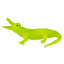 Icon for Crocodylus