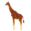 Icon for Giraffa