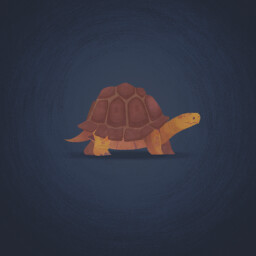 Kassiopeia the Tortoise