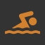 Icon for Long Distance Swimmer