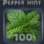 Crafting resources: Pepper Mint