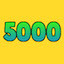 5000 Runs