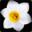 Narcissu 10th Anniversary Anthology: Sumire icon