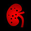 Icon for Lupus Nephritis