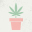 Icon for Advanced Grower